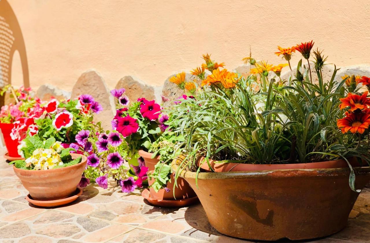 Domo All'Antico Borgo Oristano Exterior photo